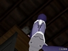 tn_Sample033.jpg